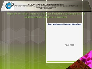 Papel de los ácidos organicos de origen bacteriano que promueven la
solubización de fosfato en la rizosfera
Dra. Marianela Paredes Mendoza
Abril 2013
 