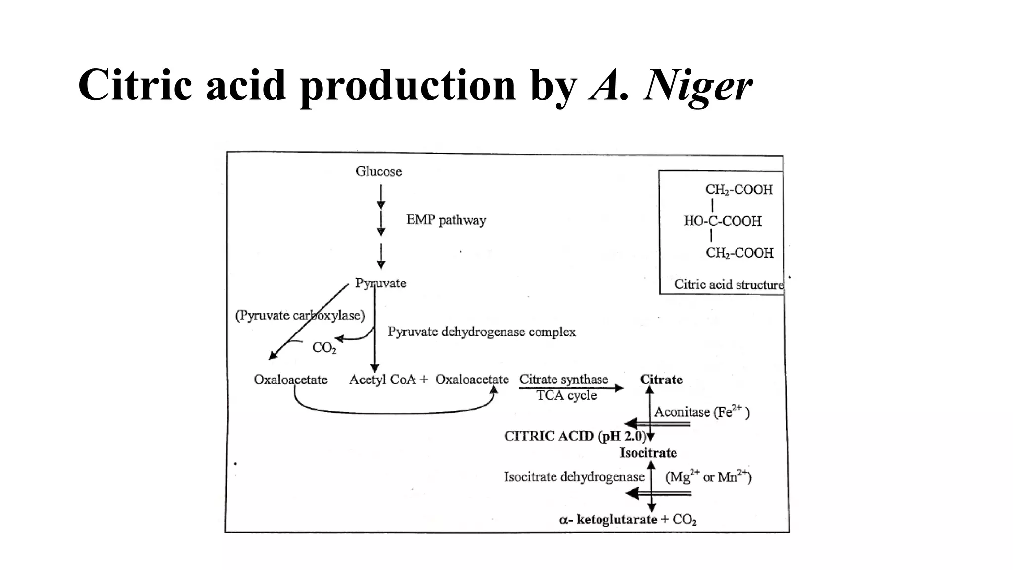Organic acids production copy | PDF