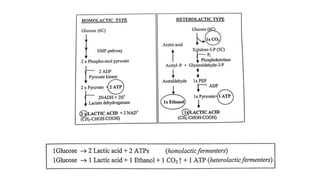 Organic acids production copy | PDF