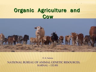Organic Agriculture and CowOrganic Agriculture and Cow
Organic Agriculture andOrganic Agriculture and
CowCow
D. K. Sadana
NATIONAL BUREAU OF ANIMAL GENETIC RESOURCES,
KARNAL – 132 001
 