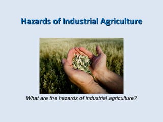 Hazards ooff IInndduussttrriiaall AAggrriiccuullttuurree 
What are the hazards of industrial agriculture? 
 
