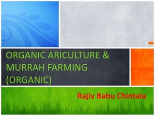 ORGANIC ARICULTURE &
MURRAH FARMING
(ORGANIC)
Rajiv Babu Chintala
 