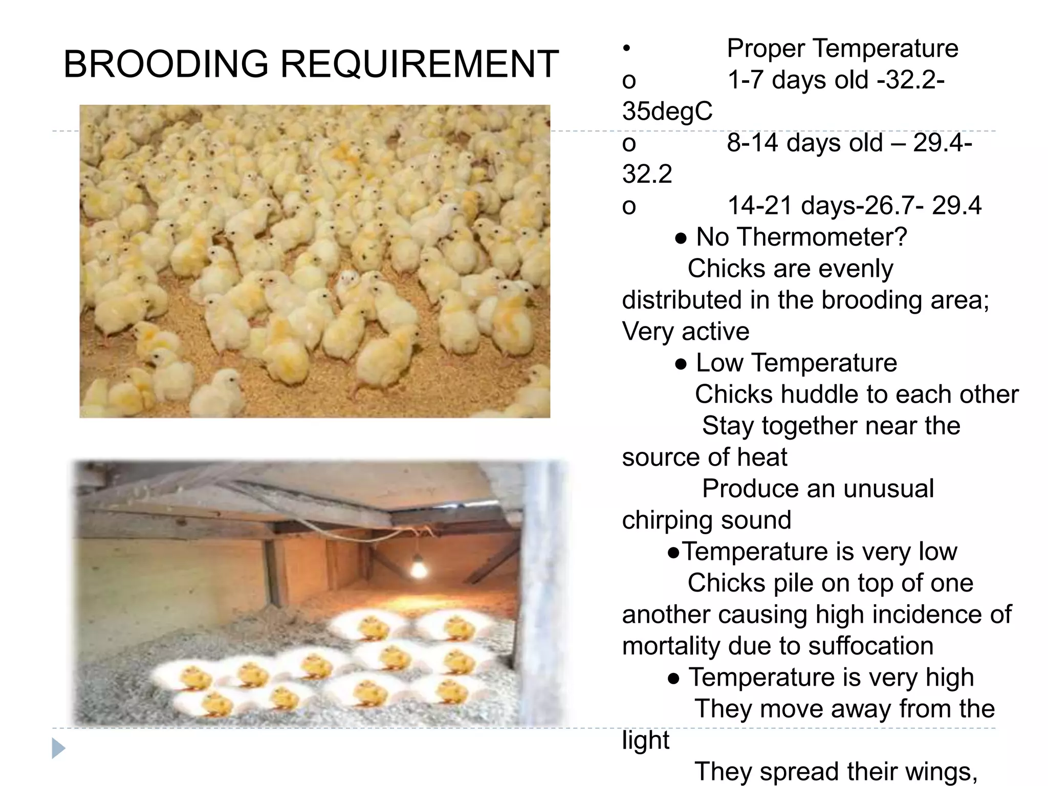 ORGANIC AGRICULTURE PRODUCTION NC II.pptx