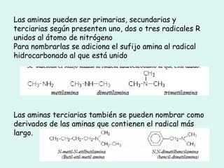Las aminas pueden ser primarias, secundarias y
terciarias según presenten uno, dos o tres radicales R
unidos al átomo de nitrógeno
Para nombrarlas se adiciona el sufijo amina al radical
hidrocarbonado al que está unido
Las aminas terciarias también se pueden nombrar como
derivados de las aminas que contienen el radical más
largo.
 