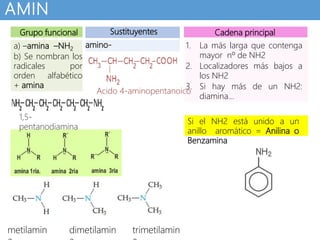 AMIN
AS Sustituyentes Cadena principal
Grupo funcional
a) –amina –NH2
b) Se nombran los
radicales por
orden alfabético
+ amina
1. La más larga que contenga
mayor nº de NH2
2. Localizadores más bajos a
los NH2
3. Si hay más de un NH2:
diamina…
amino-
Si el NH2 está unido a un
anillo aromático = Anilina o
Benzamina
metilamin dimetilamin trimetilamin
Ácido 4-aminopentanoico
1,5-
pentanodiamina
 
