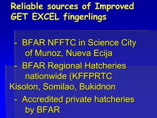 Reliable sources of Improved
GET EXCEL fingerlings
- BFAR NFFTC in Science City
of Munoz, Nueva Ecija
- BFAR Regional Hatcheries
nationwide (KFFPRTC
Kisolon, Somilao, Bukidnon
- Accredited private hatcheries
by BFAR
 