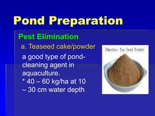 Pond Preparation
Pest Elimination
a. Teaseed cake/powder
a good type of pond-
cleaning agent in
aquaculture.
* 40 – 60 kg/ha at 10
– 30 cm water depth
 