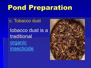 Pond Preparation
c. Tobacco dust
tobacco dust is a
traditional
organic
insecticide
 