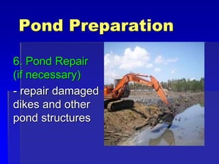 Pond Preparation
6. Pond Repair
(if necessary)
- repair damaged
dikes and other
pond structures
 