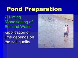 Pond Preparation
7. Liming
/Conditioning of
Soil and Water
-application of
lime depends on
the soil quality
 