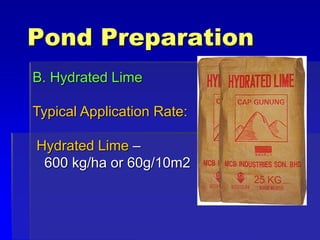 Pond Preparation
B. Hydrated Lime
Typical Application Rate:
Hydrated Lime –
600 kg/ha or 60g/10m2
 