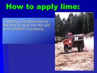 How to apply lime:
4.Settling will allow time for
the lime to soak into the soil
and condition it properly.
 