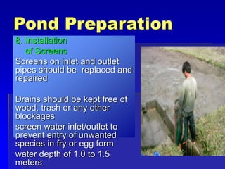 Pond Preparation
8. Installation
of Screens
Screens on inlet and outlet
pipes should be replaced and
repaired
Drains should be kept free of
wood, trash or any other
blockages
screen water inlet/outlet to
prevent entry of unwanted
species in fry or egg form
water depth of 1.0 to 1.5
meters
 