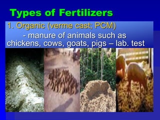Types of Fertilizers
1. Organic (verme cast; PCM)
- manure of animals such as
chickens, cows, goats, pigs – lab. test
 
