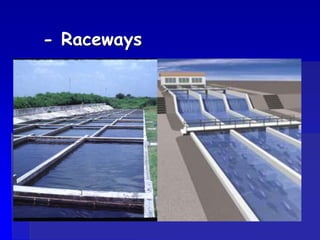 - Raceways
 