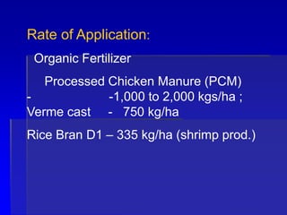 Rate of Application:
Organic Fertilizer
Processed Chicken Manure (PCM)
- -1,000 to 2,000 kgs/ha ;
Verme cast - 750 kg/ha
Rice Bran D1 – 335 kg/ha (shrimp prod.)
 