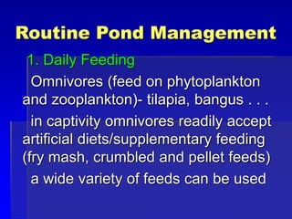 Routine Pond Management
1. Daily Feeding
Omnivores (feed on phytoplankton
and zooplankton)- tilapia, bangus . . .
in captivity omnivores readily accept
artificial diets/supplementary feeding
(fry mash, crumbled and pellet feeds)
a wide variety of feeds can be used
 