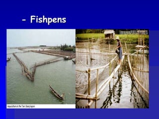 - Fishpens
 
