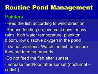 Routine Pond Management
Pointers
-Feed the fish according to wind direction
-Reduce feeding on; overcast days, heavy
rains, high water temperature, plankton
bloom, low dissolve oxygen in the pond
- Do not overfeed. Watch the fish to ensure
they are feeding properly.
-Do not feed the fish after sunset.
-Increase feed/food after sunset (nocturnal –
catfish).
 