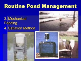 Routine Pond Management
3. Mechanical
Feeding
4. Satiation Method
 