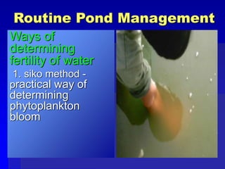 Routine Pond Management
Ways of
determining
fertility of water
1. siko method -
practical way of
determining
phytoplankton
bloom
 