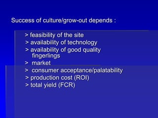 Success of culture/grow-out depends :
> feasibility of the site
> availability of technology
> availability of good quality
fingerlings
> market
> consumer acceptance/palatability
> production cost (ROI)
> total yield (FCR)
 