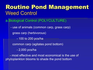 Routine Pond Management
Weed Control
a.Biological Control (POLYCULTURE)
- use of animals (common carp, grass carp)
grass carp (herbivorous)
- 100 to 200 pcs/ha
common carp (agitates pond bottom)
- 2,000 pcs/ha
- most effective and most economical is the use of
phytoplankton blooms to shade the pond bottom
 