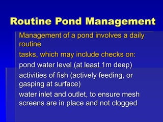Routine Pond Management
Management of a pond involves a daily
routine
tasks, which may include checks on:
pond water level (at least 1m deep)
activities of fish (actively feeding, or
gasping at surface)
water inlet and outlet, to ensure mesh
screens are in place and not clogged
 
