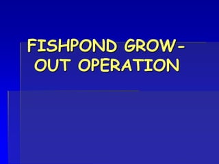 FISHPOND GROW-
OUT OPERATION
 
