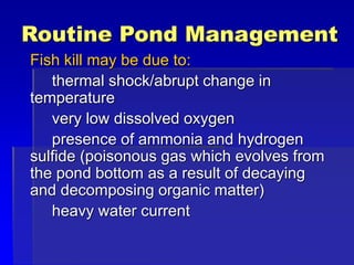 Routine Pond Management
Fish kill may be due to:
thermal shock/abrupt change in
temperature
very low dissolved oxygen
presence of ammonia and hydrogen
sulfide (poisonous gas which evolves from
the pond bottom as a result of decaying
and decomposing organic matter)
heavy water current
 