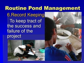 Routine Pond Management
6.Record Keeping
To keep tract of
the success and
failure of the
project
 