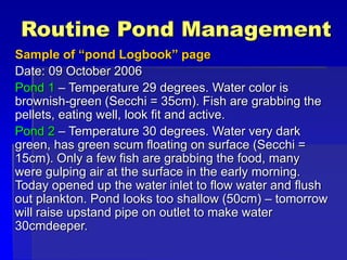 Routine Pond Management
Sample of “pond Logbook” page
Date: 09 October 2006
Pond 1 – Temperature 29 degrees. Water color is
brownish-green (Secchi = 35cm). Fish are grabbing the
pellets, eating well, look fit and active.
Pond 2 – Temperature 30 degrees. Water very dark
green, has green scum floating on surface (Secchi =
15cm). Only a few fish are grabbing the food, many
were gulping air at the surface in the early morning.
Today opened up the water inlet to flow water and flush
out plankton. Pond looks too shallow (50cm) – tomorrow
will raise upstand pipe on outlet to make water
30cmdeeper.
 