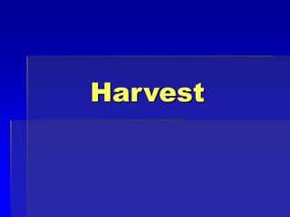 Harvest
 