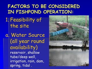 FACTORS TO BE CONSIDERED
IN FISHPOND OPERATION:
1. Feasibility of
the site
a. Water Source
(all year round
availability)
reservoir, shallow
tube/deep well,
irrigation, rain, dam,
spring, tidal .
 