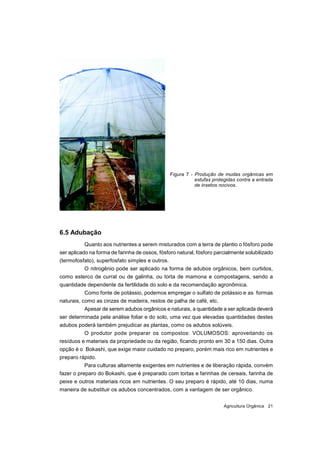 Agricultura Orgânica 21
Figura 7 - Produção de mudas orgânicas em
estufas protegidas contra a entrada
de insetos nocivos.
...