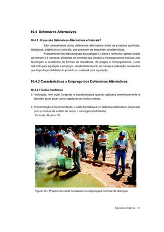 Agricultura Orgânica 31
10.4 Defensivos Alternativos
10.4.1 O que são Defensivos Alternativos e Naturais?
São considerados...
