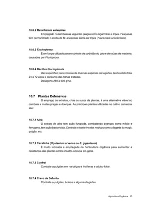 Agricultura Orgânica 35
10.6.2 Metarhizium anisopliae
Empregado no combate as seguintes pragas como cigarrinhas e tripes. ...