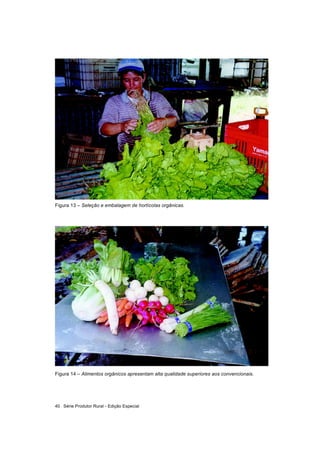 Série Produtor Rural - Edição Especial40
Figura 14 – Alimentos orgânicos apresentam alta qualidade superiores aos convenci...