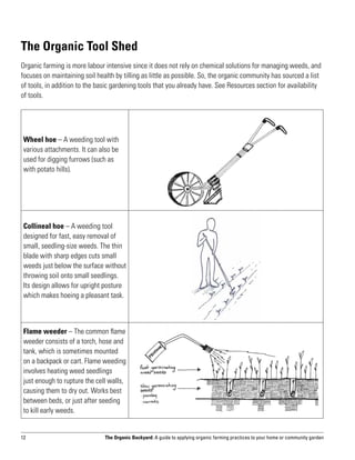The Organic Tool Shed
Organic farming is more labour intensive since it does not rely on chemical solutions for managing weeds, and
focuses on maintaining soil health by tilling as little as possible. So, the organic community has sourced a list
of tools, in addition to the basic gardening tools that you already have. See Resources section for availability
of tools.




 Wheel hoe – A weeding tool with
 various attachments. It can also be
 used for digging furrows (such as
 with potato hills).




 Collineal hoe – A weeding tool
 designed for fast, easy removal of
 small, seedling-size weeds. The thin
 blade with sharp edges cuts small
 weeds just below the surface without
 throwing soil onto small seedlings.
 Its design allows for upright posture
 which makes hoeing a pleasant task.



 Flame weeder – The common flame
 weeder consists of a torch, hose and
 tank, which is sometimes mounted
 on a backpack or cart. Flame weeding
 involves heating weed seedlings
 just enough to rupture the cell walls,
 causing them to dry out. Works best
 between beds, or just after seeding
 to kill early weeds.


12                             The Organic Backyard: A guide to applying organic farming practices to your home or community garden
 