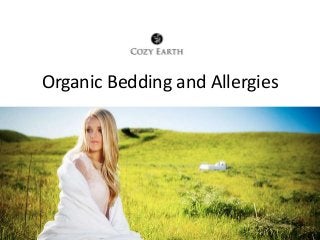 Organic Bedding and Allergies 
 