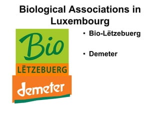 22/04/2016
6
Honeycombs
Demeter Bio-Lëtzebuerg EU-organic-
regulation
Super: Only in the
supers may waxen
midribs be used. It is
nonetheless desirable to
avoid their use here too.
Storage: Only the
substances non-
transgenic bacillus
thuringiensis and acetic
acid may be used to
protect stored combs
from wax moths
Feeding
Price: 1,73 € /kgPrice in supermarket 0,65 € /kg
Feeding
Demeter Bio-Lëtzebuerg EU-organic-
regulation
Honey and blossom pollen
are the natural foods for
bees. The aim should be to
winter them on honey.
Where this is not possible
supplementary winter feed
must contain at least 10%
honey by weight. This must
come from a Demeter
certified source.
Chamomile tea and salt are
also to be added to the
feed.
All feed supplements must
be of organic if not
Biodynamic origin.
At the end of the production
season hives must be left
with reserves of honey and
pollen sufficiently abundant
to survive the winter.
The use of organically-
produced sugar syrup or
organic sugar molasses
instead of organically-
produced honey in artificial
feeding, in particular, when
it is required by climatic
conditions that provoke
crystallisation of honey
 