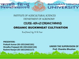 INSTITUTE OF AGRICULTURAL SCIENCES
DEPARTMENT OF AGRONOMY
COURSE- AGR-421 (ORGANIC FARMING)
ORGANIC BUCKWHEAT CULTIVATION
PRESENTERS-
Prakash kumar (ID-19212AGC101)
Shradha Prajapati (ID-19212AGC134)
Rashmi Ranjan (ID-18212AGC117)
UNDER THE SUPERVISION OF
Prof. Chandra Bhushan
B.sc(Hons) Ag, IV th Year
 