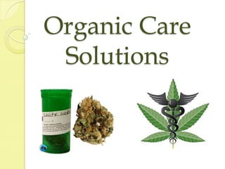 Organic Care
 Solutions
 