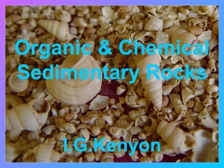 Organic & Chemical
Sedimentary Rocks


    I.G.Kenyon
 