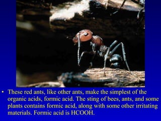 These red ants, like other ants, make the simplest of the organic acids, formic acid. The sting of bees, ants, and some plants contains formic acid, along with some other irritating materials. Formic acid is HCOOH. 