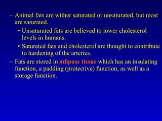 Animal fats are wither saturated or unsaturated, but most are saturated. Unsaturated fats are believed to lower cholesterol levels in humans. Saturated fats and cholesterol are thought to contribute to hardening of the arteries. Fats are stored in  adipose tissue  which has an insulating function, a padding (protective) function, as well as a storage function. 
