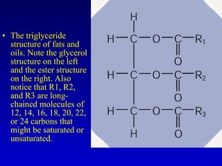 The triglyceride structure of fats and oils. Note the glycerol structure on the left and the ester structure on the right. Also notice that R1, R2, and R3 are long-chained molecules of 12, 14, 16, 18, 20, 22, or 24 carbons that might be saturated or unsaturated. 