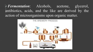 Fermentation: Alcohols, acetone, glycerol, 
antibiotics, acids, and the like are derived by the 
action of microorganisms upon organic matter. 
 
