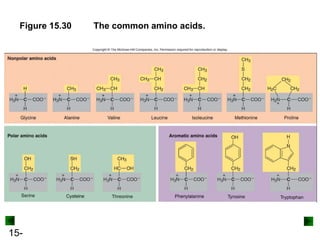 15-
Figure 15.30 The common amino acids.
 