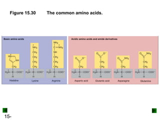 15-
Figure 15.30 The common amino acids.
 